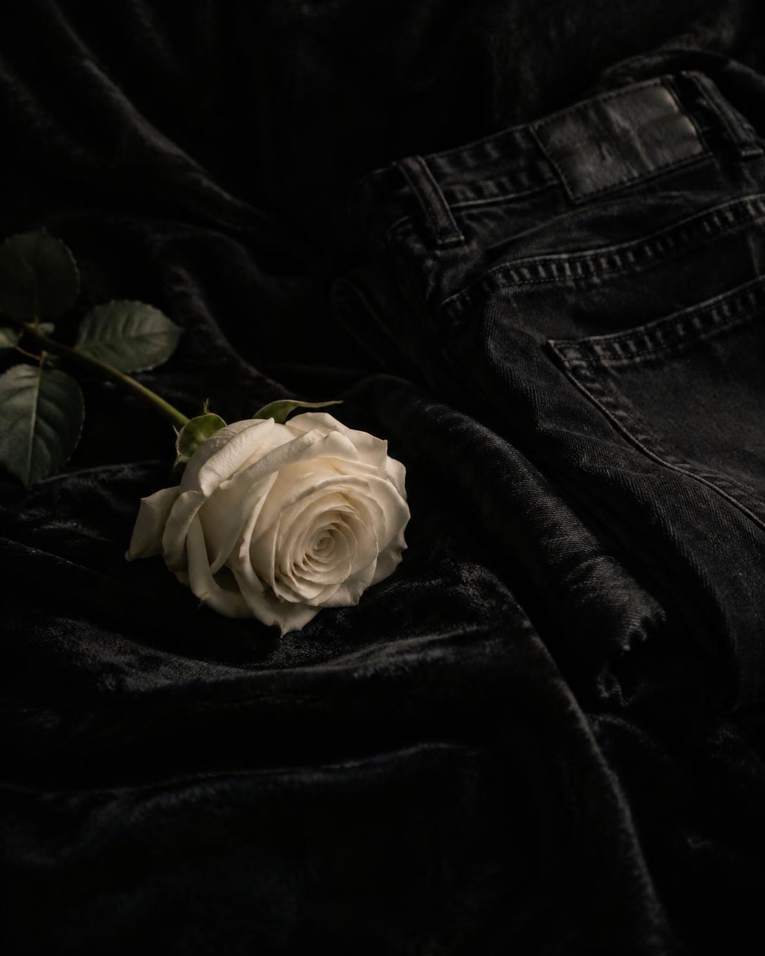 Vision in Bloom Denim Set – mood